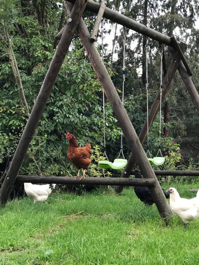 Farmhouse Eckartsberg Im Zittauer Gebirge - Ferienwohnung Mit 2 Schlafzimmern, Terrasse Und Wallbox Mittelherwigsdorf エクステリア 写真